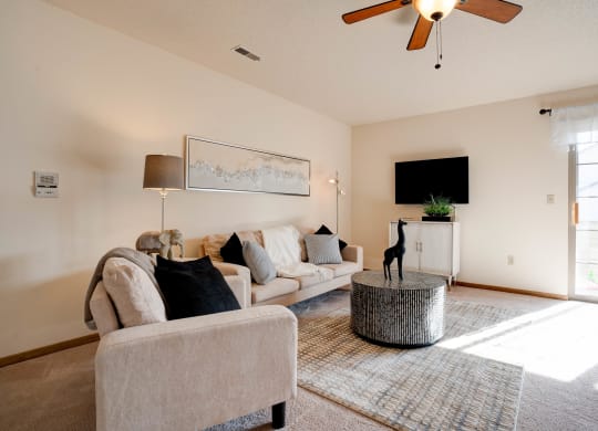 Spacious Carpeted Living room