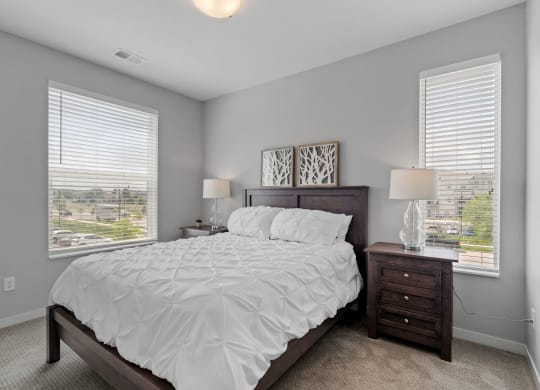 Bedroom with Abundant Natural Light