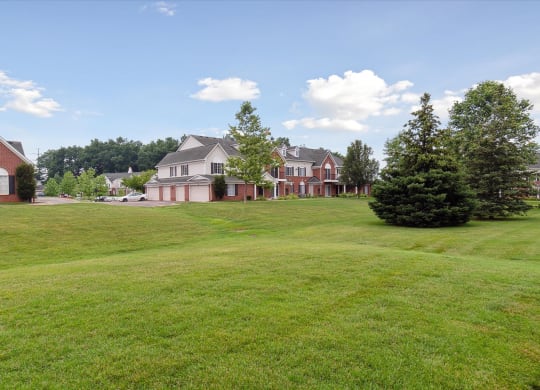 Large Green Space
