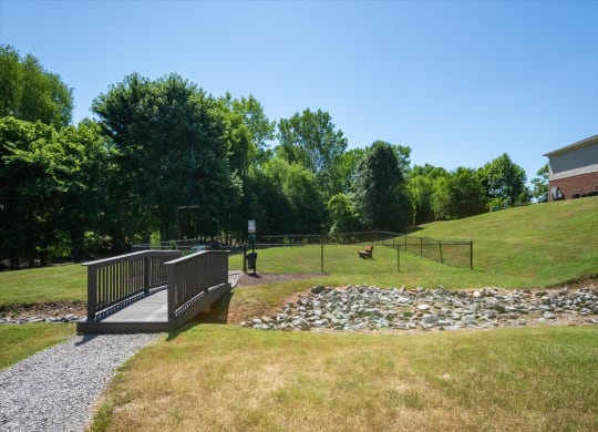 Dog Park with Equipment