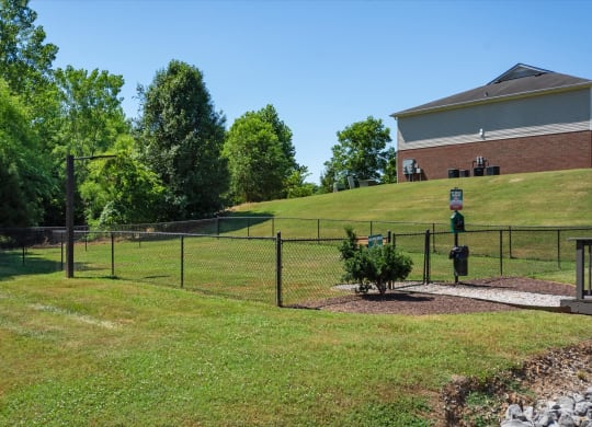 Dog Park