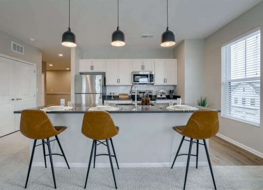 Kitchen with Premium Fixtures and Finishes