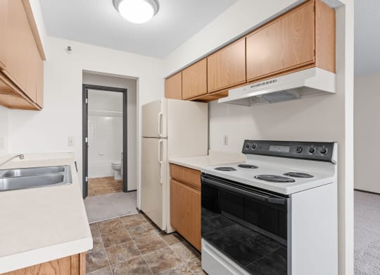Kitchen with Wood Cabinets