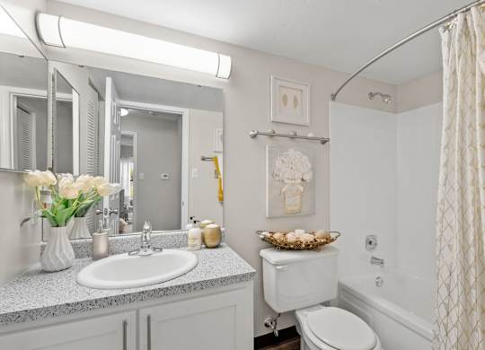 Bathroom with White Cabinets
