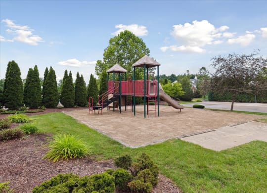 Playground Area