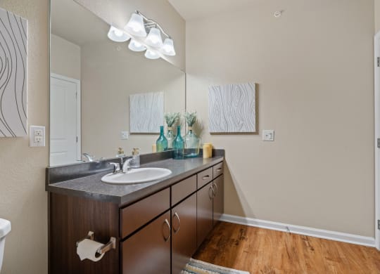 Bathroom With Wood-Style Flooring
