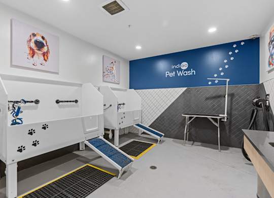 A pet wash station with a blue wall and a white dog picture on the wall.