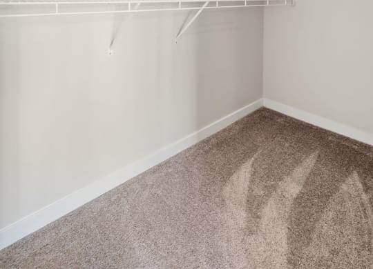 Walk-In Closet With Built-In Shelving