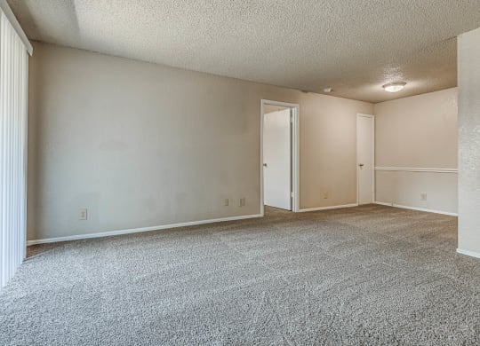 Living Area with Carpet