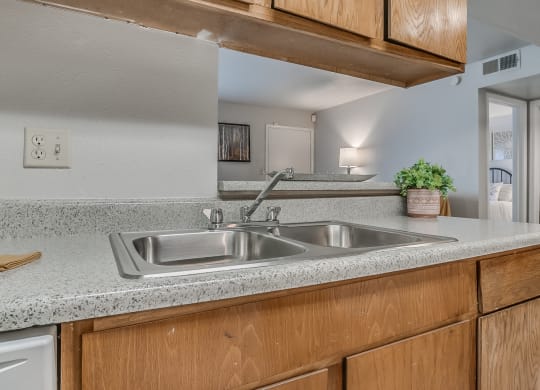 Stainless Steel Sink