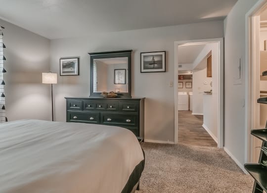 Bedroom With Attached Walk-In Closet