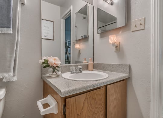 Bathroom Vanity With Mirror & Overhead Lights
