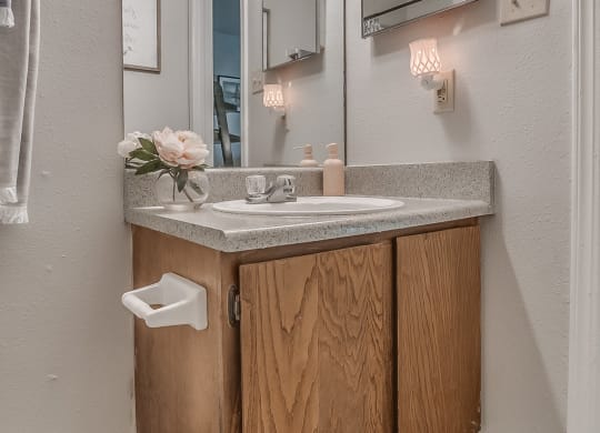 Bathroom Vanity & Light Grey Walls