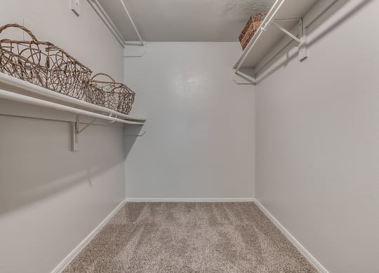 Large Walk-In Closet