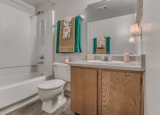 Bathroom With Vanity & Shower With Tub