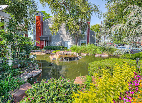 Tranquil Duck Pond