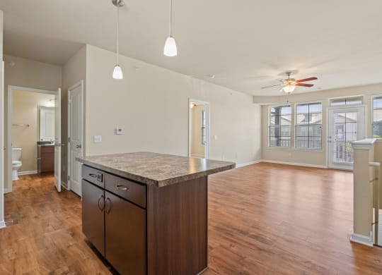 Spacious Living Area With Wood-Style Flooring