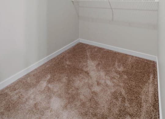 Walk-In Closet With Built-In Shelving