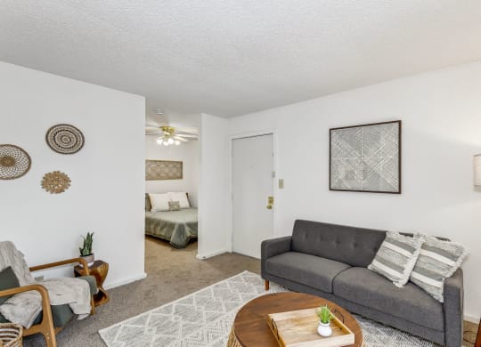 Living Area with Carpet