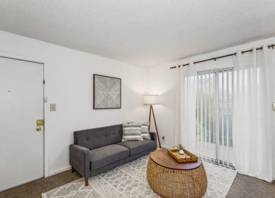 Living Area with Carpet