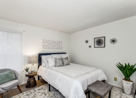 Bedroom with Plush Carpeting