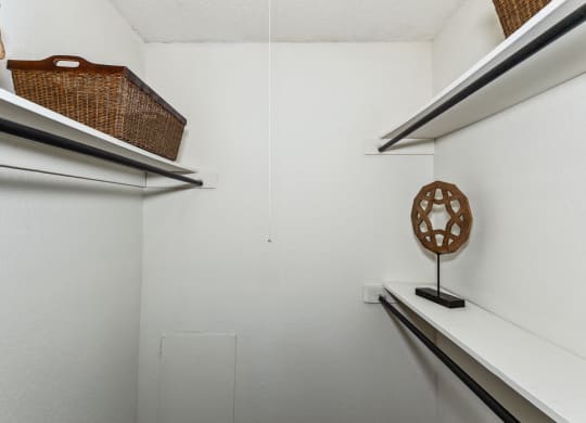 Walk-In Closet With Built-In Shelving