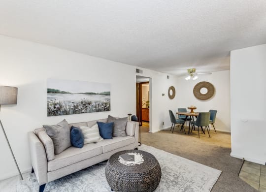 Living Room with Carpet