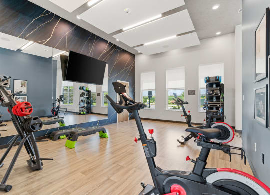 Studio Room with Cycling Equipment