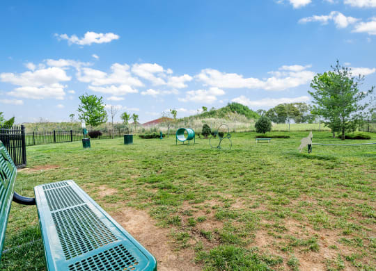 Spacious Dog Park