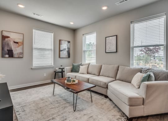 Spacious Living Room Area