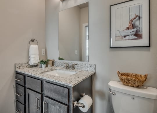 Bathroom With Granite Vanities