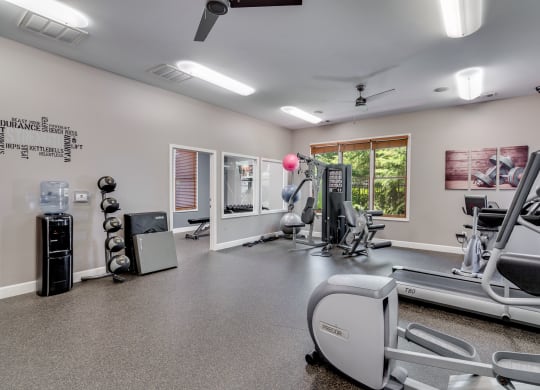 the gym has plenty of exercise equipment including treadmills and weights