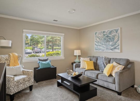 Living Room With Lots Of Natural Light