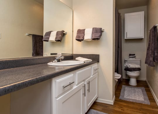 Large Bathroom Vanity