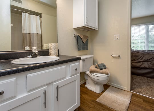 Bathroom With Wood-Style Flooring & Medicine Cabinet
