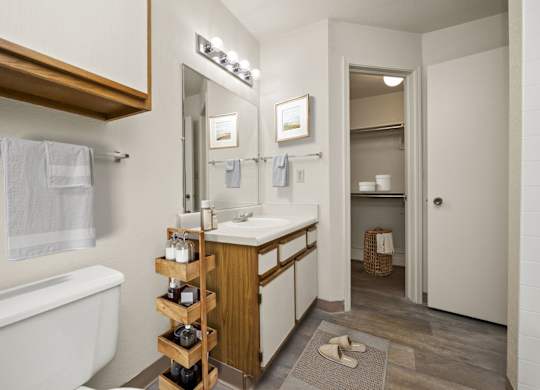 Bathroom With Wood-Style Flooring