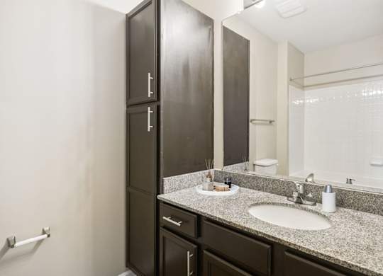 Bathroom with Modern Finishes
