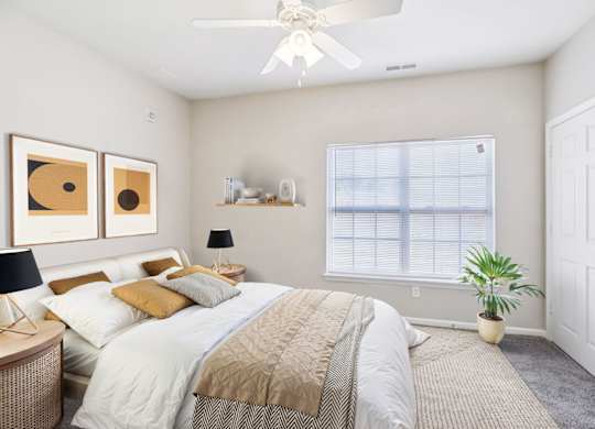Bedroom with Plush Carpeting