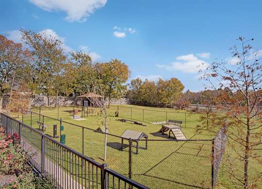 Dog Park