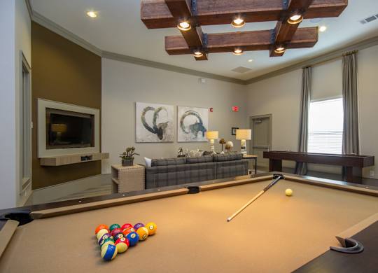 Clubhouse Pool Table