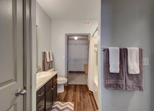 Bathroom with Closet