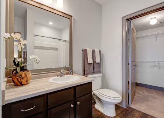Bathroom with Modern Finishes