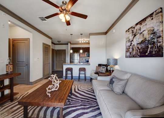 Living Room with Plush Carpeting