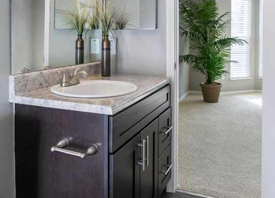 Granite Bathroom Countertop with Wood Style Flooring