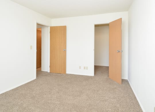 Walk-In Closets in Bedrooms