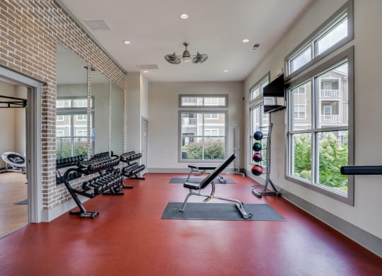 Free Weight Area with Lifting Benches
