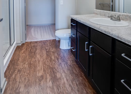 Large Bathroom Vanity with Attached Walk-In Closet