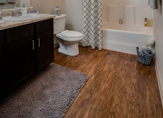 Bathroom with Wood-Style Plank Flooring