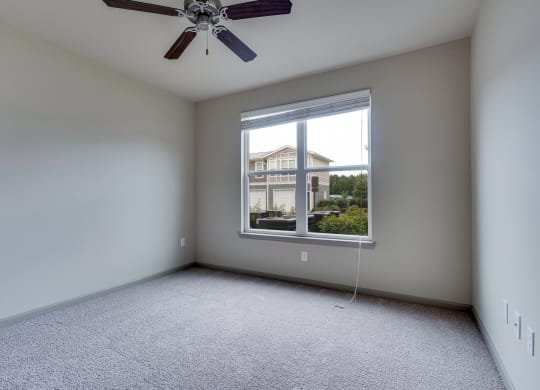 Ceiling Fan in Bedroom