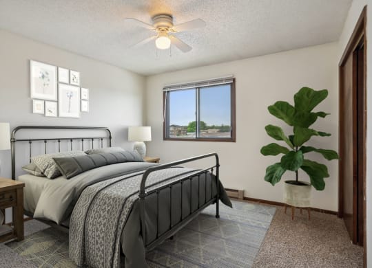 Bedroom with Plush Carpeting